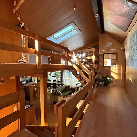 Rubin Apartment Frutigen