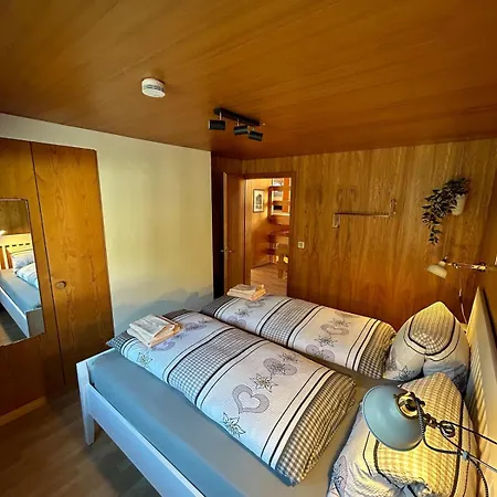 Rubin Apartment Frutigen