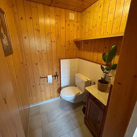 Rubin Apartment Frutigen